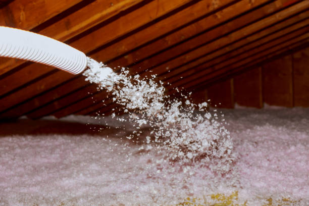 Best Commercial Insulation in Snow Hill, NC