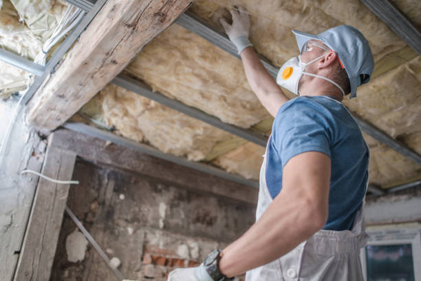 Best Blown-in Insulation in Snow Hill, NC